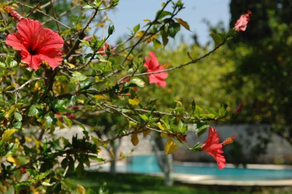 Villa Martha Spétses Buitenkant foto